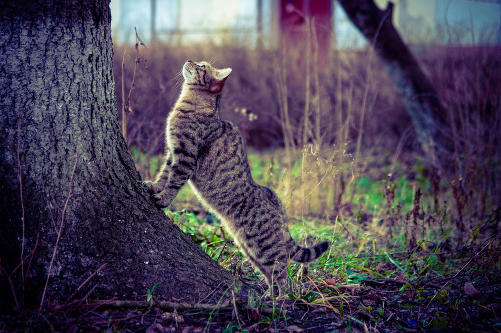 Photograph by Анастасия Пионтек