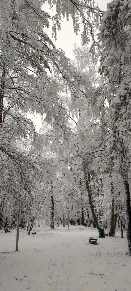 Photograph by Марийона Савоненко