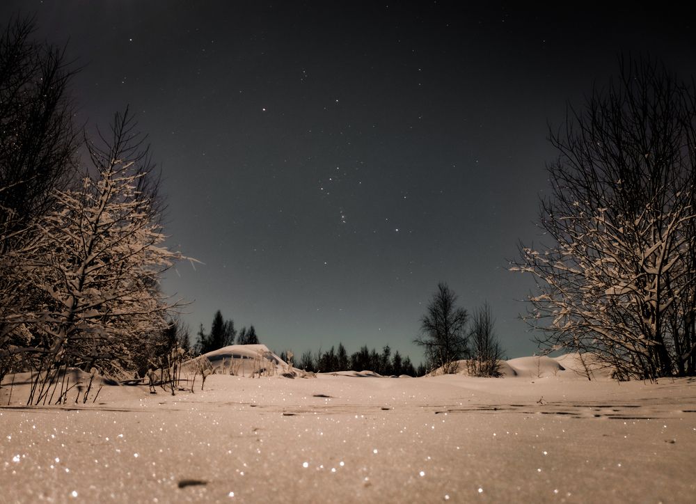 Фотография автора Михаил Швайко