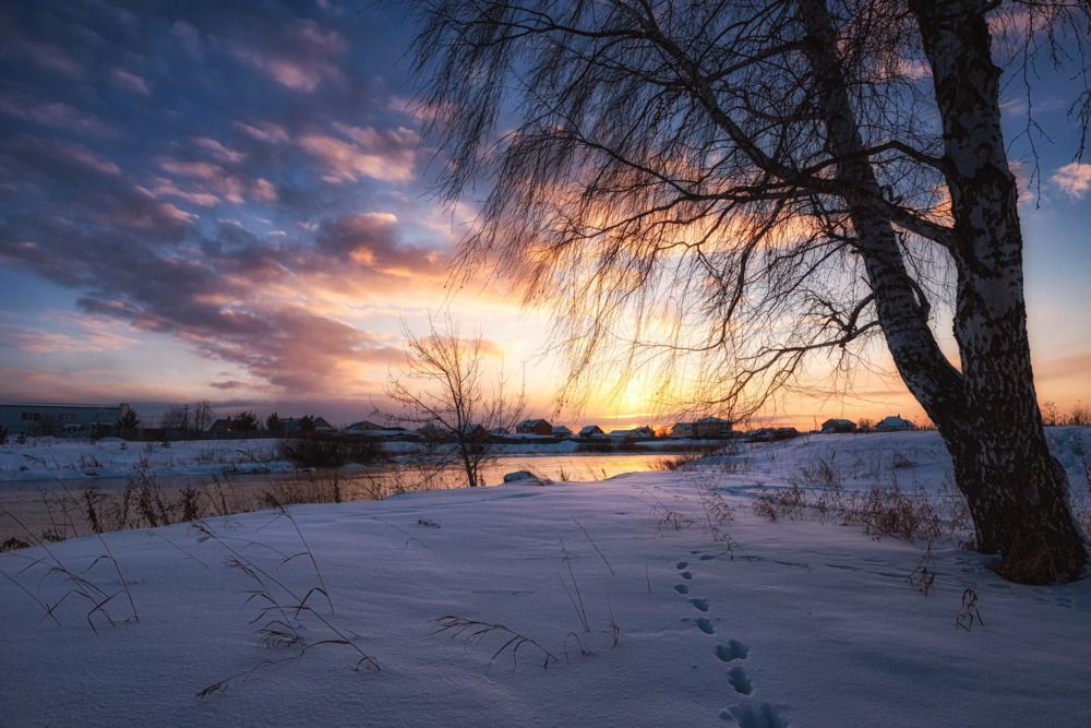 Photograph by Максим Ватрушкин