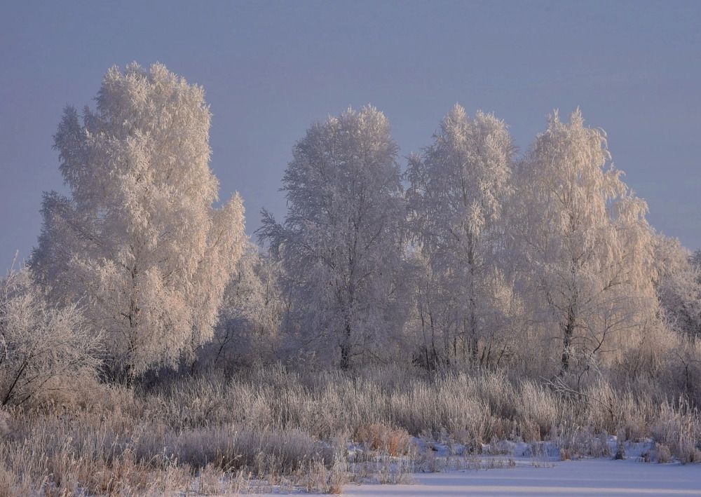 Photograph by Максим Ватрушкин