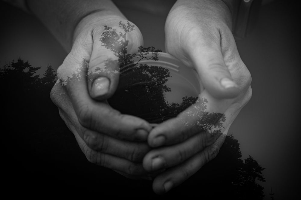 Photograph by Георгиевская Елена