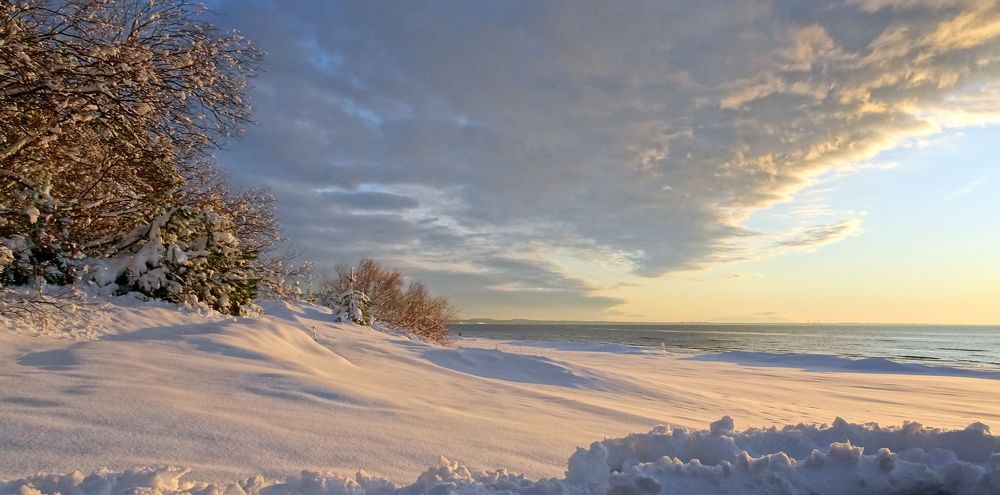 Золотой? Нет! - розовый