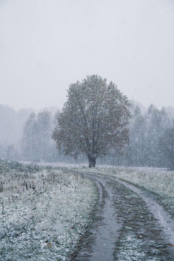 Photograph by Герман Крупенин