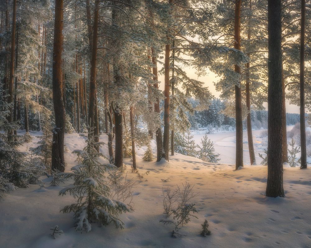 Photograph by  Михаил