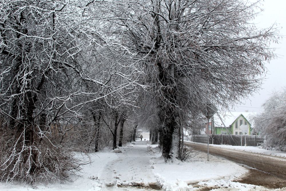 Photograph by Наталья Резванова