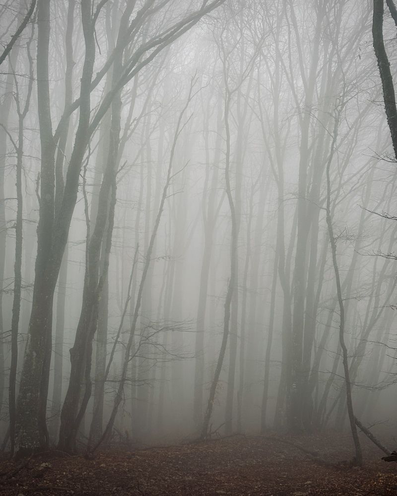 Photograph by Козинец Александр