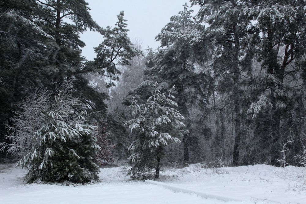 Photograph by Наталья Резванова