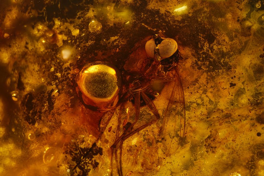 Photograph by Anton Orlenko