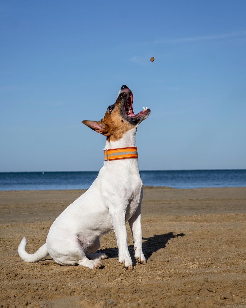 Photograph by Анна Анатольевна