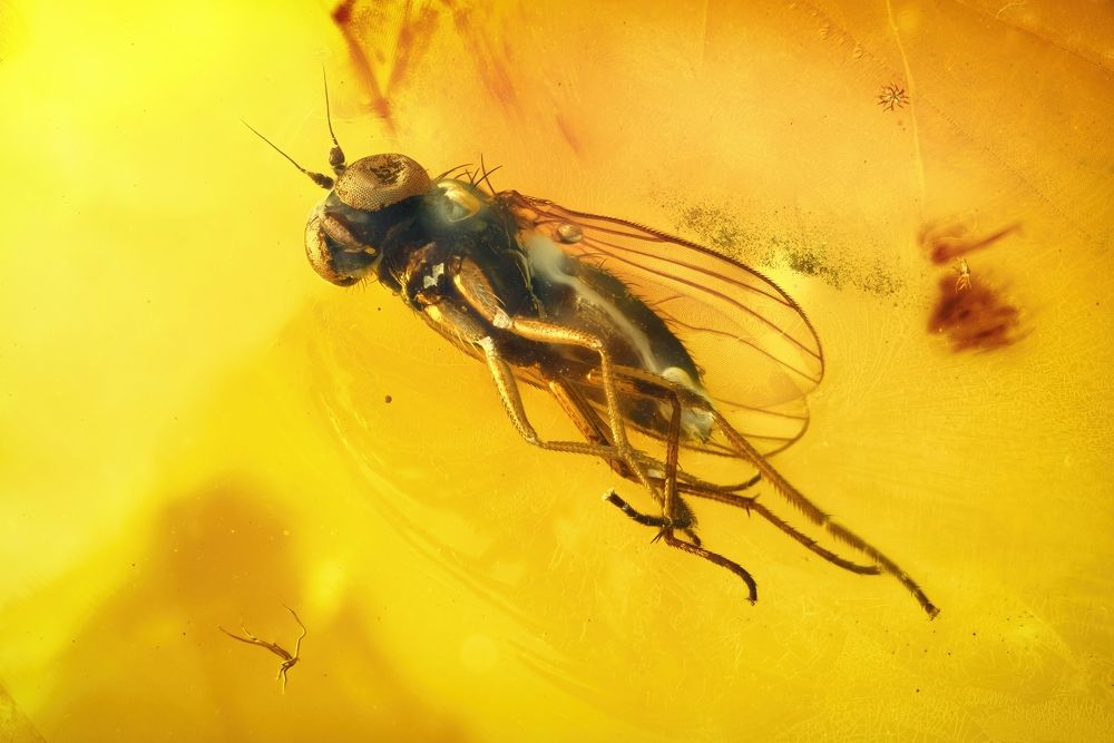 Photograph by Anton Orlenko