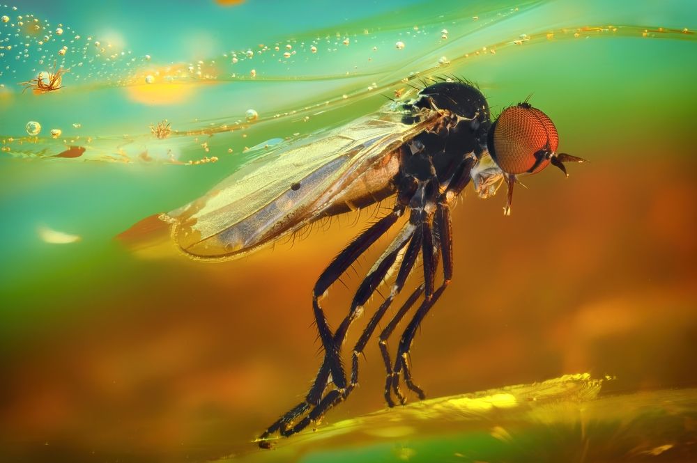 Photograph by Anton Orlenko