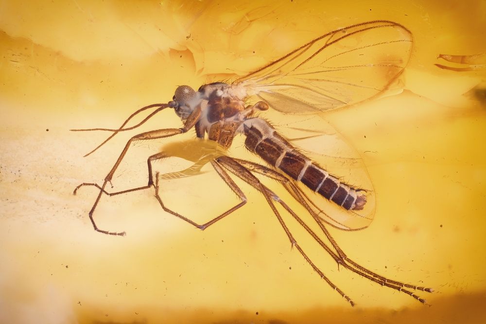 Photograph by Anton Orlenko