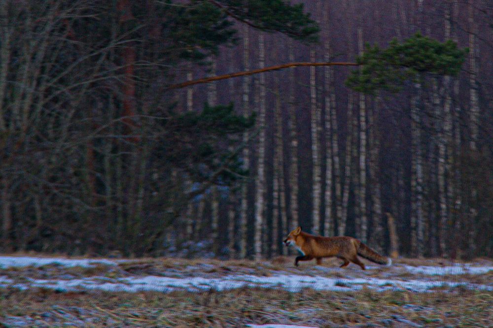 Photograph by Дмитрий Селицкий