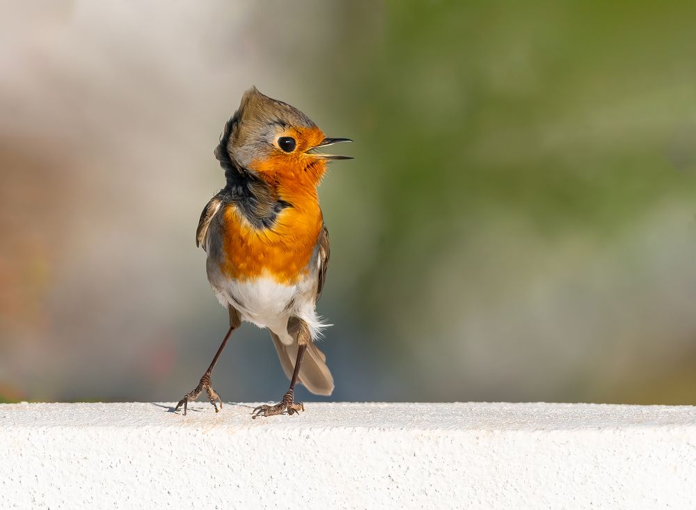 Photograph by Vahid Yavari