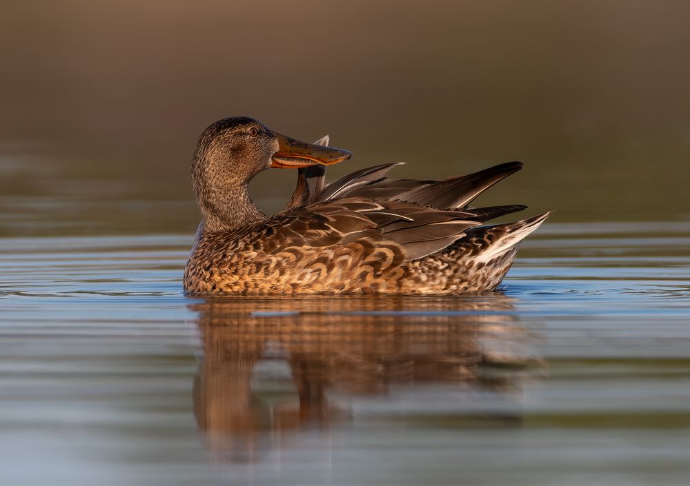Photograph by Vahid Yavari