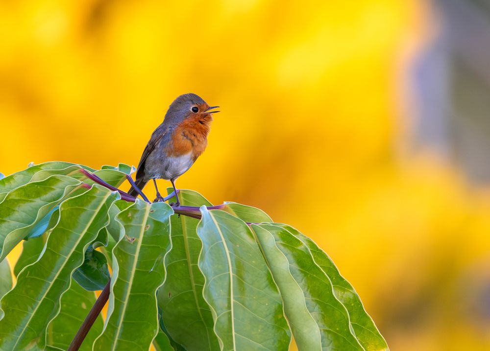 Photograph by Vahid Yavari