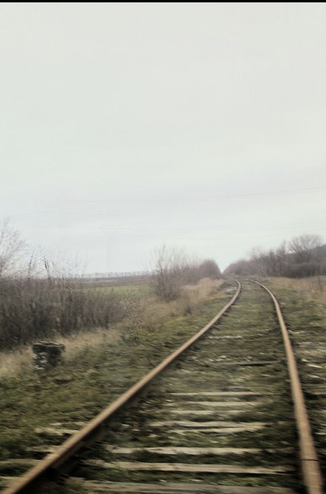 Photograph by Ирина Тихая