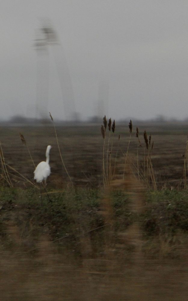 Photograph by Ирина Тихая