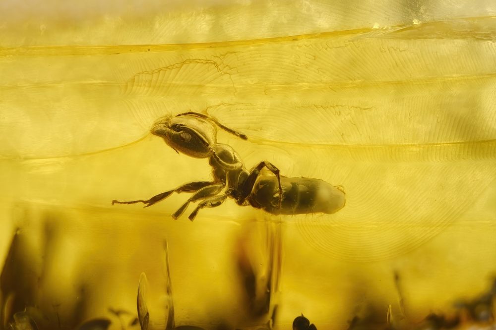 Photograph by Anton Orlenko