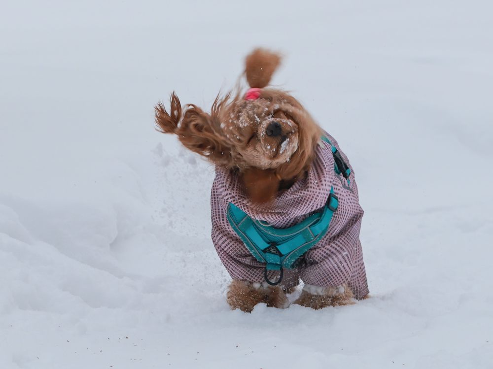 Photograph by Людмила Казак