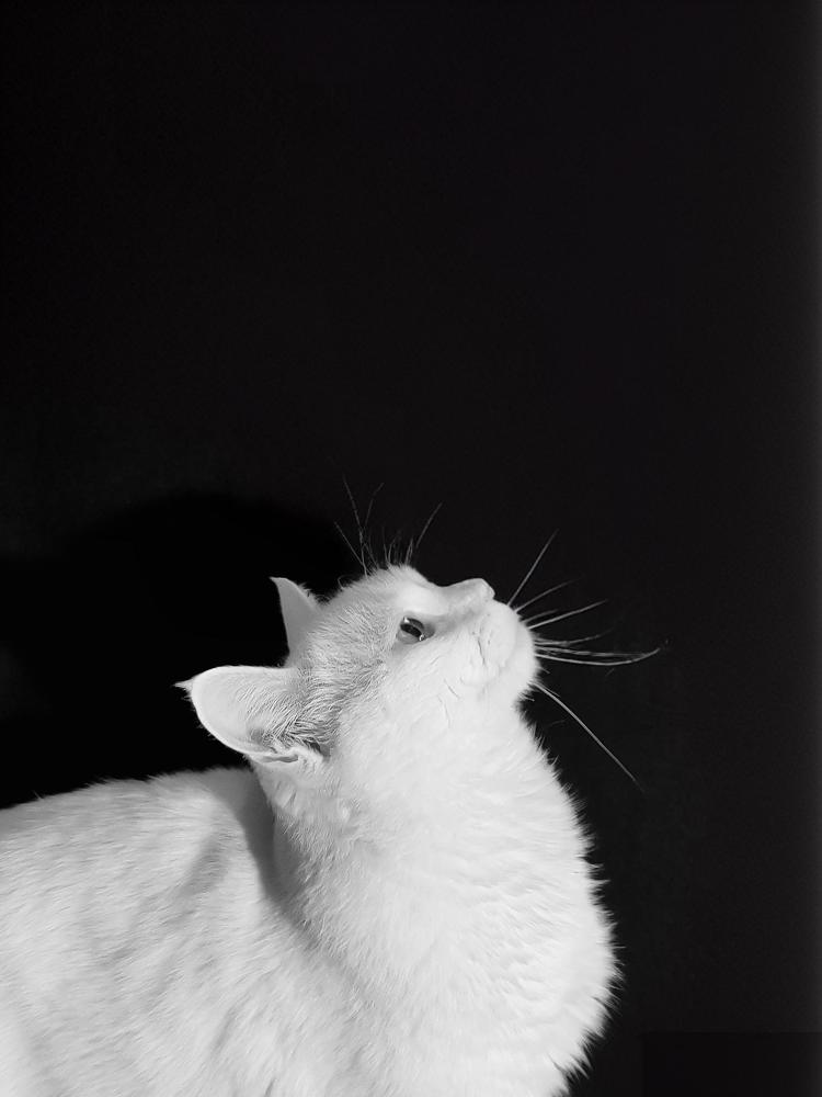 Photograph by Елизавета Соломатина