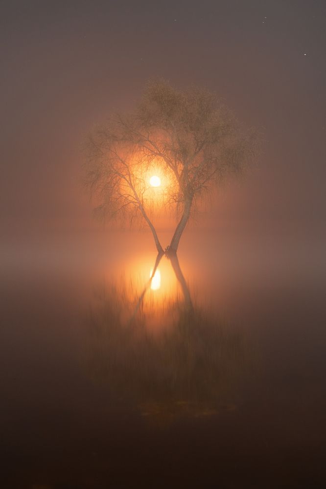 Photograph by Третьякова Анастасия