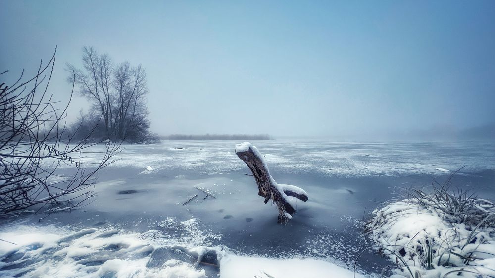 Photograph by Swetlana Lebedev