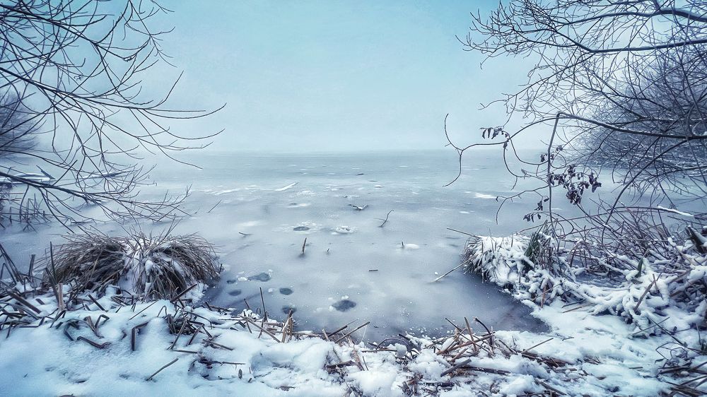 Photograph by Swetlana Lebedev