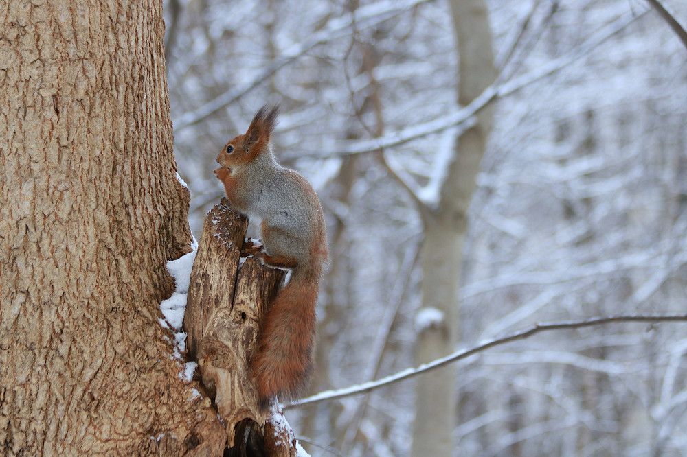 Photograph by Гагик Саркисян