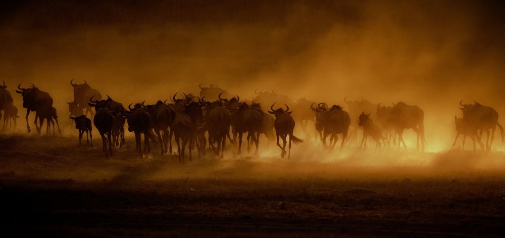 Распылители