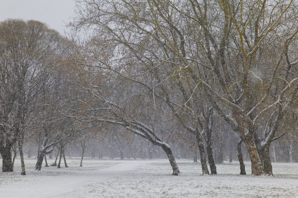 Photograph by Yana Egorova