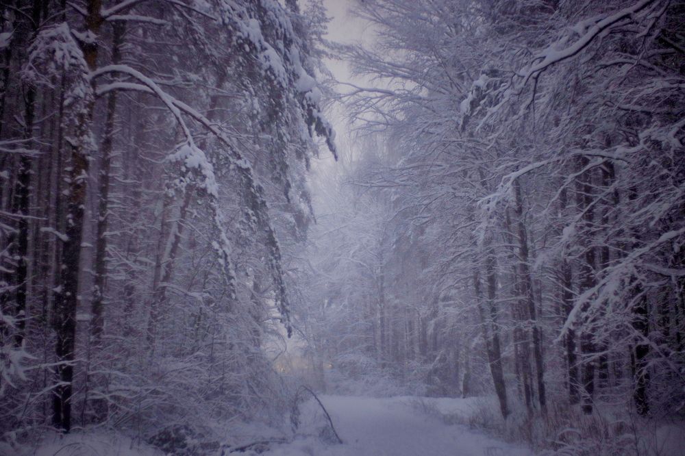 Photograph by Yana Egorova