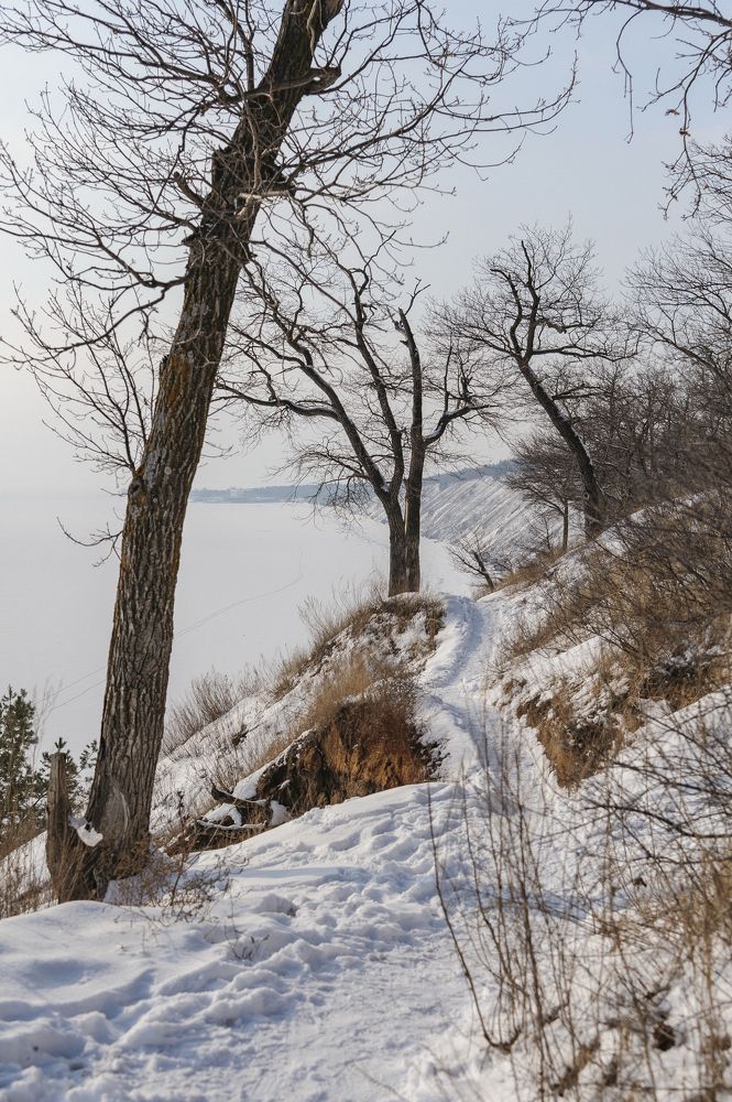 Фотография автора Мигунов Даниил