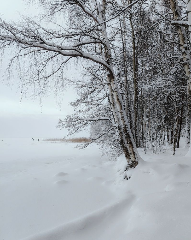 Photograph by Anastasia Uraeva