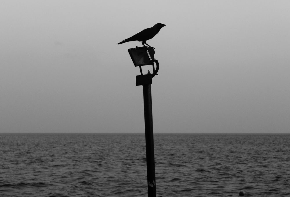 Photograph by Андрей Безгин