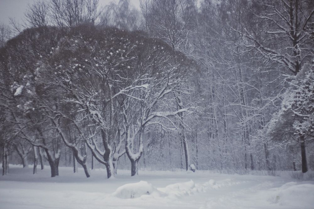 Photograph by Yana Egorova