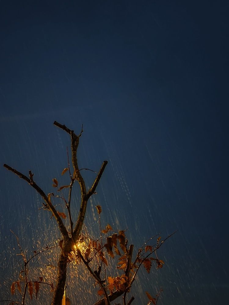 Photograph by Anastasia Uraeva