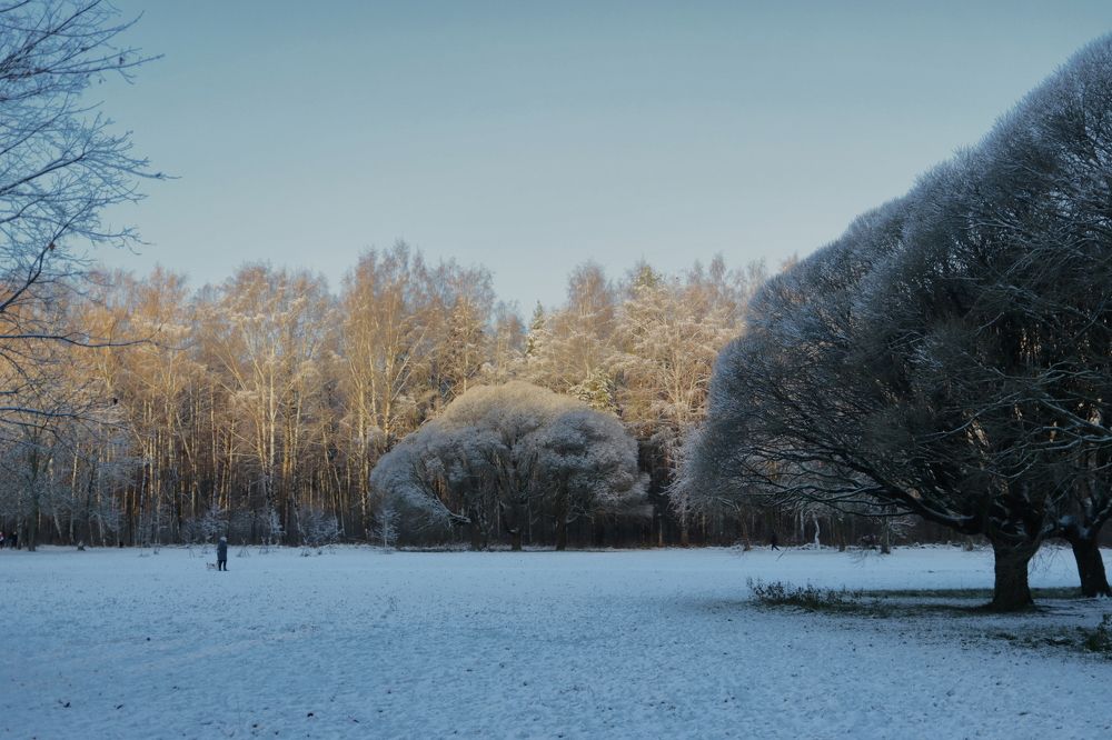 Photograph by Yana Egorova