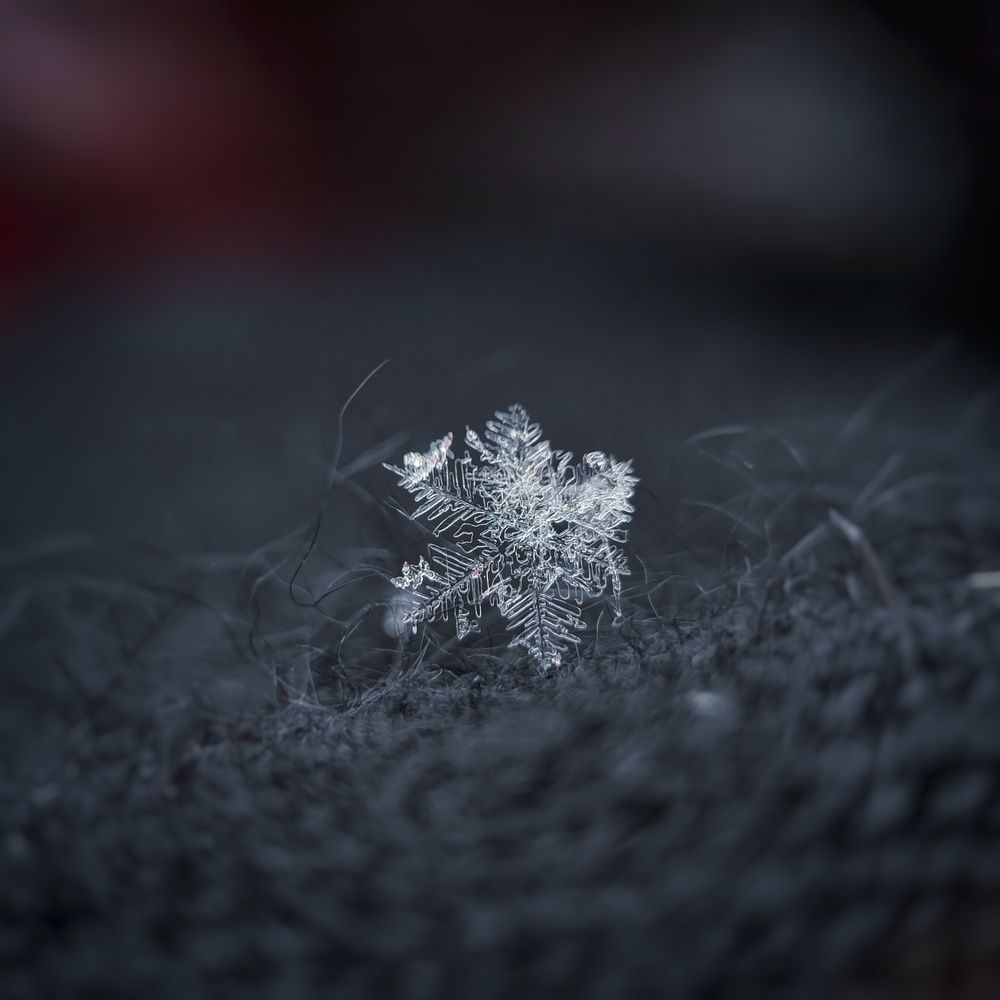 Photograph by Ольга Метлицкая