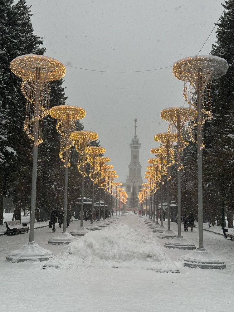 Photograph by Светлана Ионова