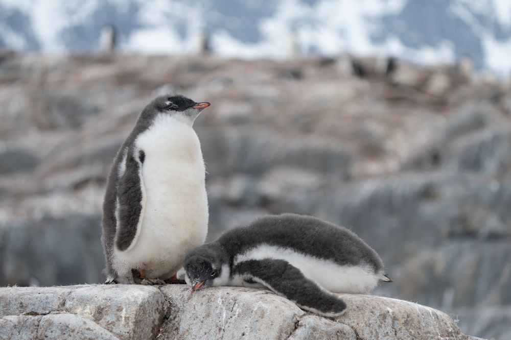 Photograph by Ирина Петрова