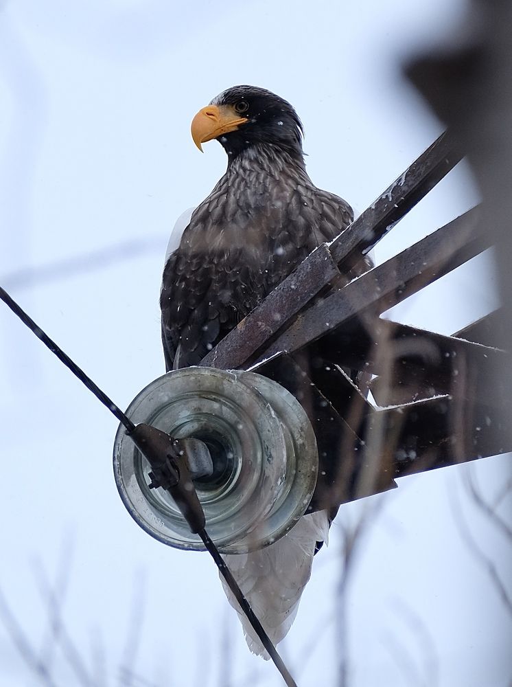 Photograph by Яна Бойко