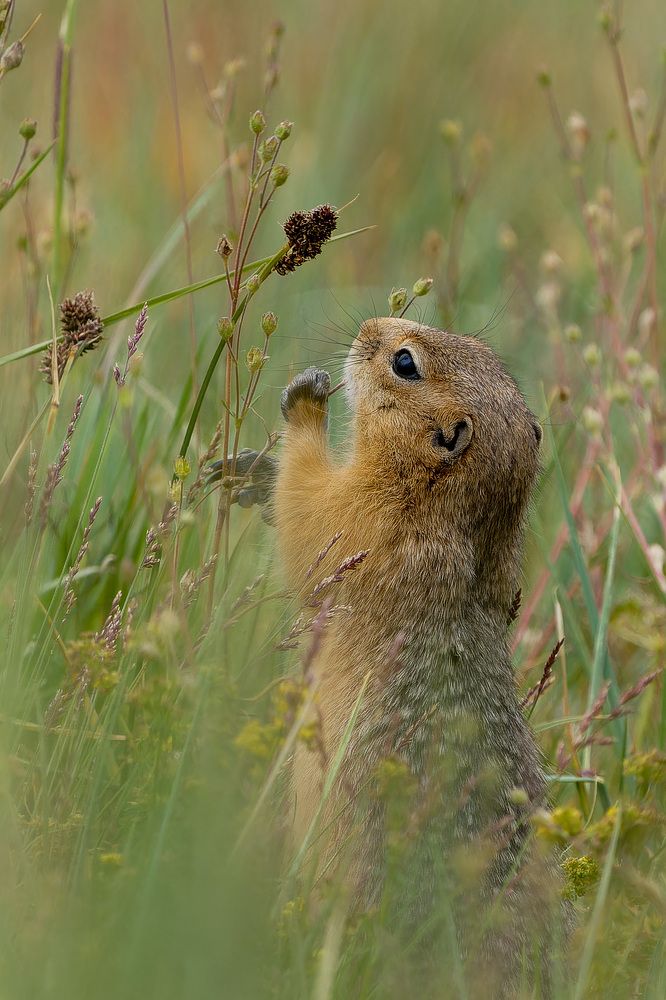 Photograph by Ирина Петрова