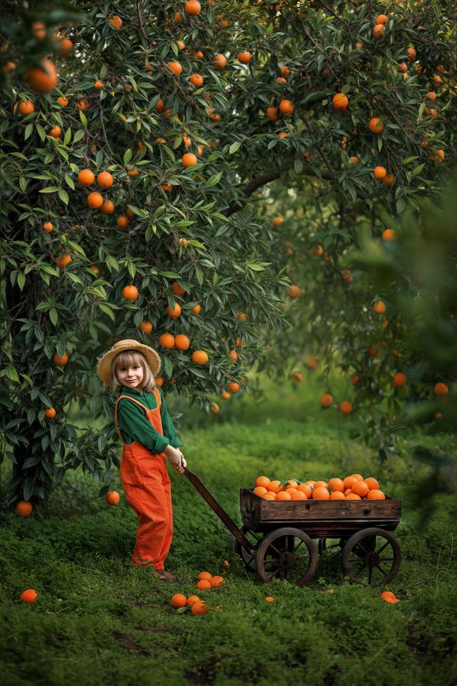 Photograph by Анастасия