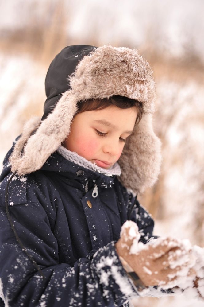 Фотография автора Ольга Пушленкова