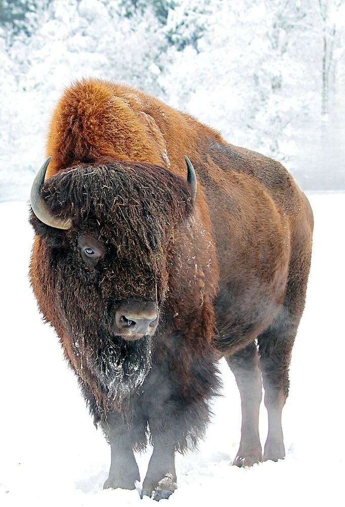 Photograph by Татьяна Слесарева