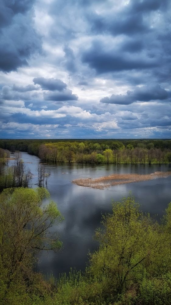 Перед дождём