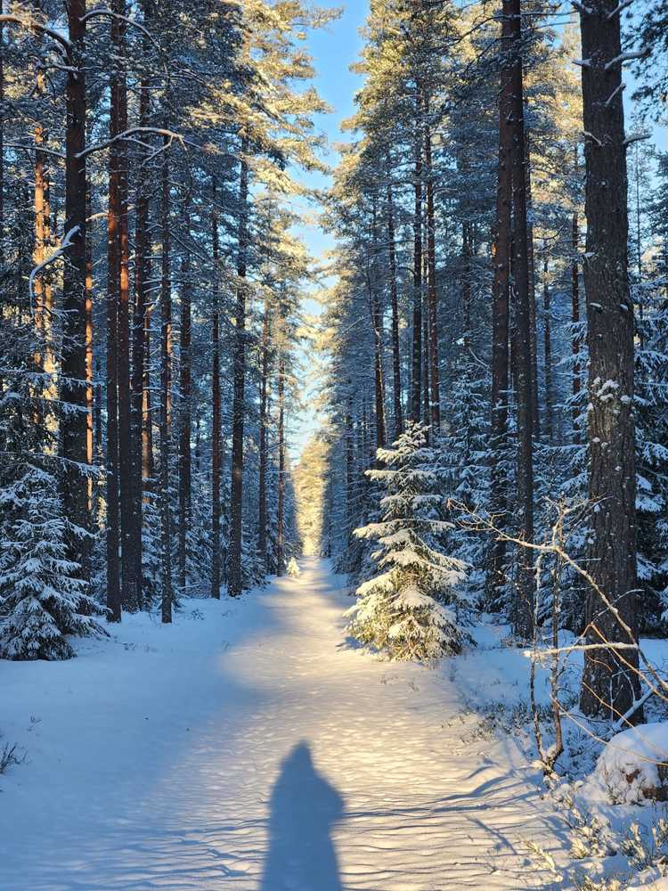 Photograph by Татьяна Пелгонен