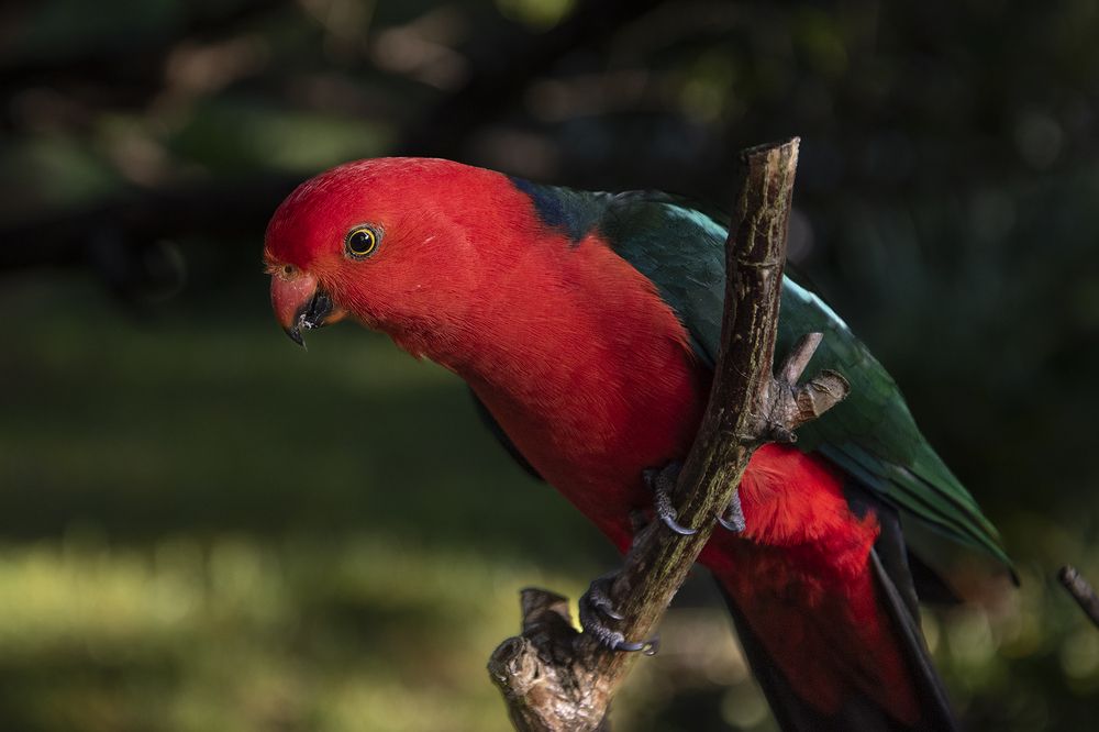 Photograph by Renee Johansson